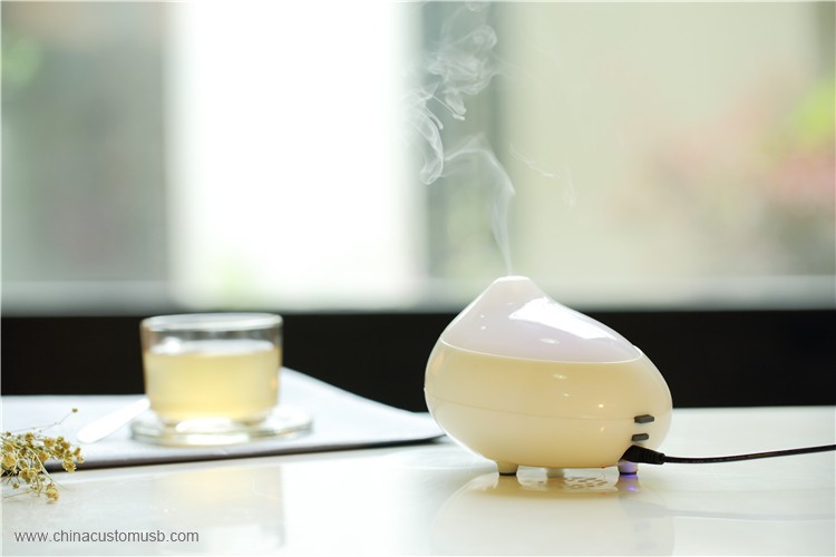 USB aroma diffuser/electric car humidifier GX DIFFUSER 4