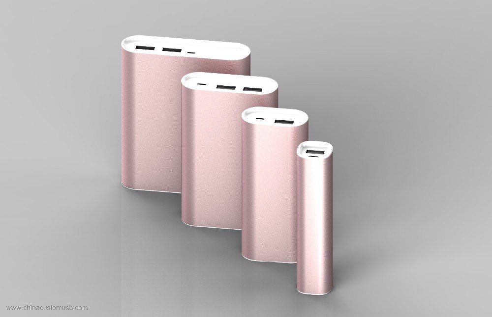 USB Power Pack Oplader med høj kvalitet Li-ion batteri 10000mAh dual usb 4