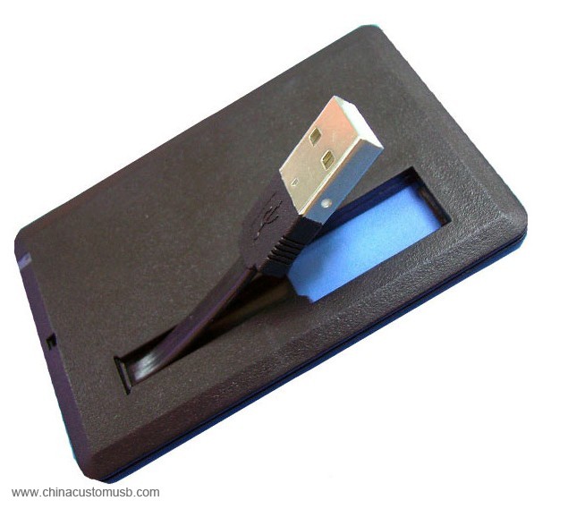 Kartu USB Flash Drive