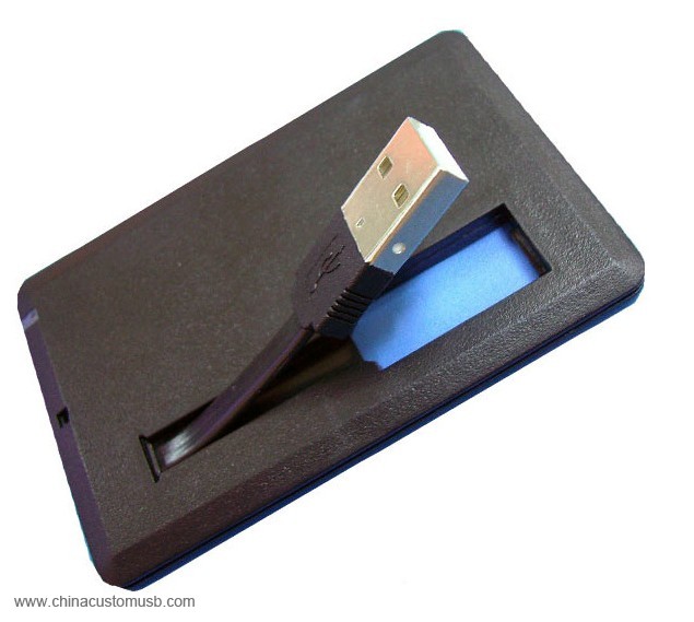 Card USB Flash Drive