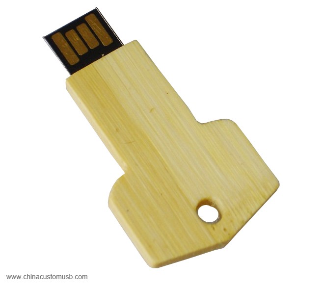 Ooden Forma Cheie din Lemn USB Flash Disk