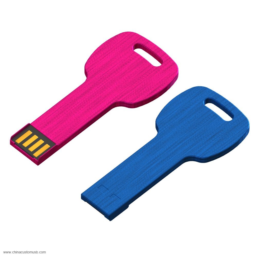 Metal usb flash Drive with Keychain