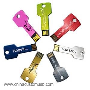 logo chiave usb flash drive