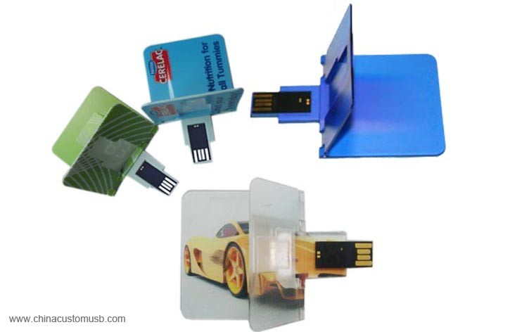 Plné barevný tisk Karty USB Flash Disk 2