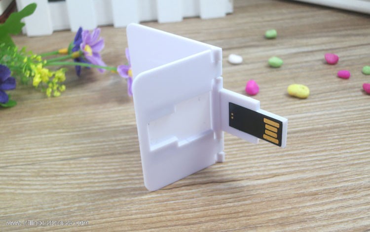Teljes színű nyomtatás Kártya USB Flash Drive 3