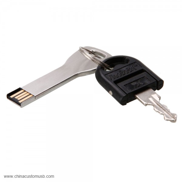 Nueva Llegada Clave forma de Llave USB 2