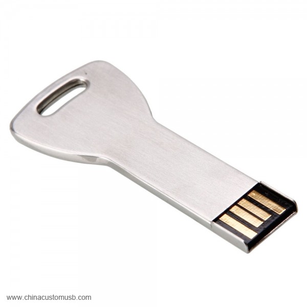 Nueva Llegada Clave forma de Llave USB 4