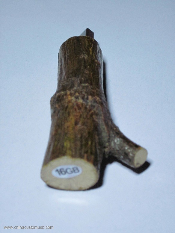Wooden USB Flash Drive 2